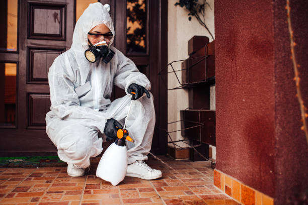 Reliable Bed Bug Control contractor in New Providence, NJ by Nex Pest Control