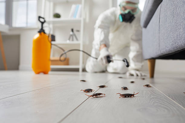 Trusted Rodent Control service in New Providence, NJ - Nex Pest Control
